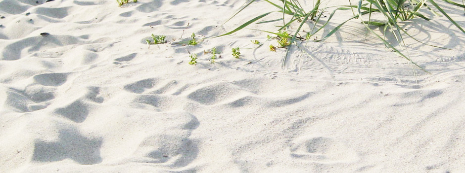 sand-teraphie