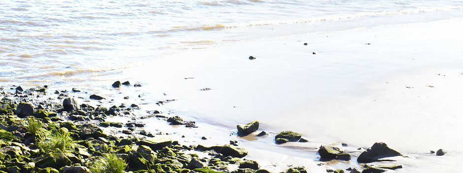 rocks