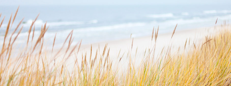 nicole_witthoefft_header_web_009_1936086